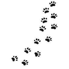 Paw of an animal, canine footprints dog trace