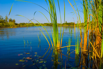 closeup small calm lake among prairies