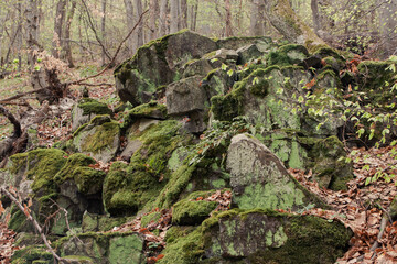 Obraz premium Rocks with moss