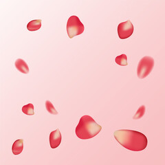 realistic red rose petals on transparent background, frame, for postcard, march 8, birthday, mother's day