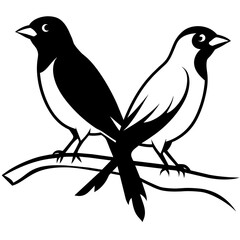 bird on a branch