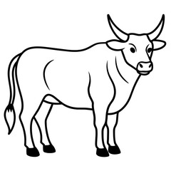 black and white cow