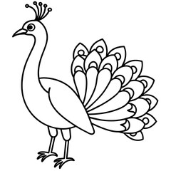 illustration of a peacock