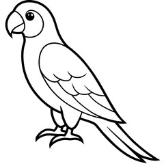 Fototapeta premium parrot on a branch