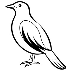 Obraz premium bird on a branch