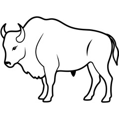 rhino vinyl illustration
