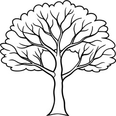 Obraz premium tree with roots