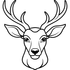 Fototapeta premium deer head vector illustration