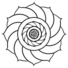 illustration of rose