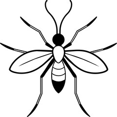 black and white spider