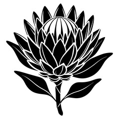 lotus flower vector