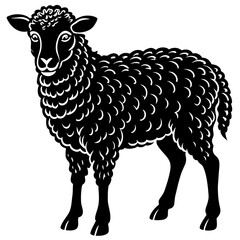 illustration of sheep