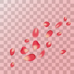 realistic red rose petals on transparent background, frame, for postcard, march 8, birthday, mother's day