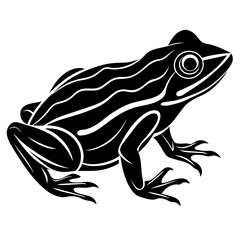 frog illustration