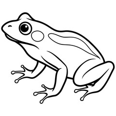 frog on a white background