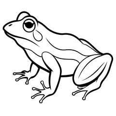 frog