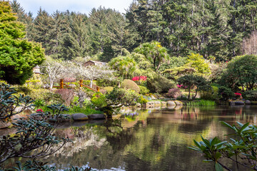 Fototapeta na wymiar Beautiful Japanese style pond in the Shore Acres State Park in Oregon