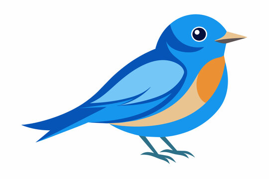recommend clip art: North american eastern bluebird silhouette vector illustration
