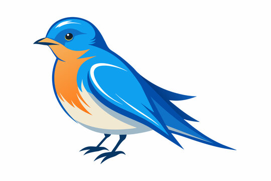 recommend clip art: North american eastern bluebird silhouette vector illustration