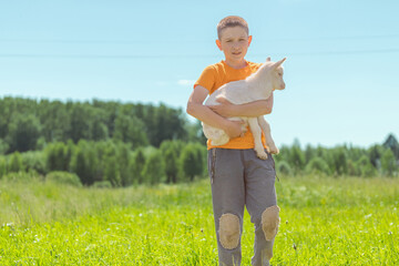 A young boy in an orange shirt standing in a field holding a white goat - Powered by Adobe