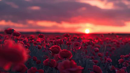 Fotobehang Poppy field sunset. Generative AI © Roman