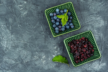 Fresh and dried berries, vitamin. - 781150988