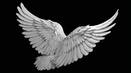 Isolated angel wing in white