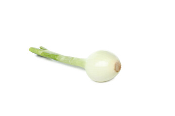 PNG, Green onion, isolated on white background