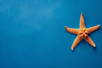 a starfish on a blue surface