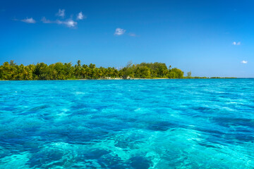 Fototapeta na wymiar Serene tropical beach in Bora Bora, French Polynesia