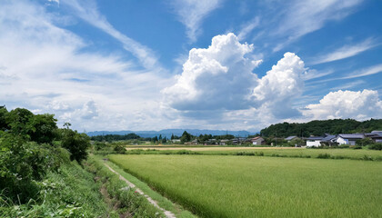 Naklejka premium 夏 日本の田園里山 田舎の風景 遠くに臨む山と青空と雲 夏休み・帰省・自然のイメージ背景