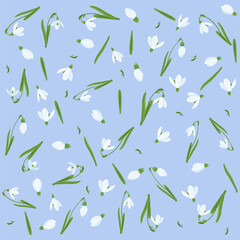 Fototapeta na wymiar Spring pattern of snowdrops. Spring wallpaper, background from snowdrops. Spring composition of snowdrops on a blue background. Spring flowers.