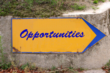 Opportunities - 781166395