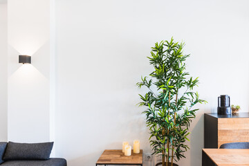 Modern living room detail with green plant