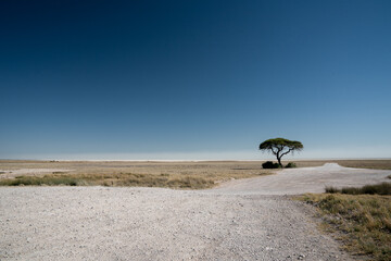 Schotterstraße führt den Blick in die Etosha-Pfanne, Salzpfanne in Namibia, blauer Himmel im Nationalpark Etosha Pfanne - obrazy, fototapety, plakaty