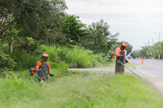 Workers trimming grass along roadside with scythes
