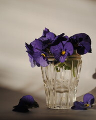 violet flowers in a glass