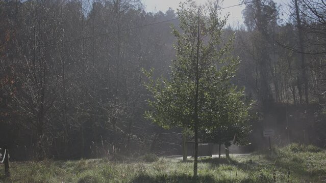 Footage of the recreational area of Chelo and the river Mandeo, near Betanzos, A Coruna, Spain