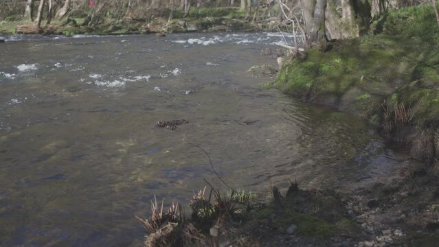 Footage of the recreational area of Chelo and the river Mondeo near Betanzos, A Coruna, Spain