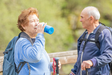 senior couple hiking outdoors in nature - 781171139