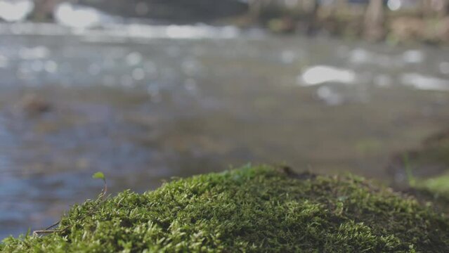 Footage in the recreational area of Chelo and the river Mandeo, near Betanzos, A Coruna, Spain