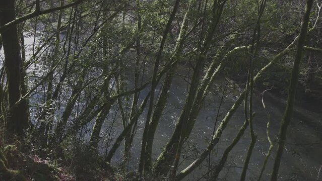 Footage of the recreational area of Chelo and the river Mandeo, near Betanzos, A Coruna, Spain