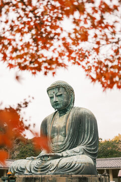 Autumn views of the Great Buddha of Kamakura