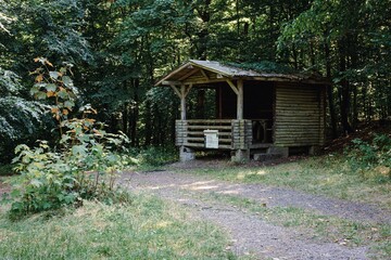 Wooden cottage in the forest