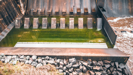 Dirty water catchment in Canberra, stagnant water with green algae