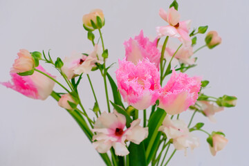 チューリップとラナンキュラス