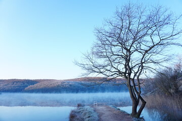 Dry bare leafless tree and an empty white chair with a lake and mountains in the background