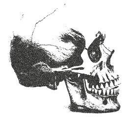 Human skull with a retro photocopy and grain effect.