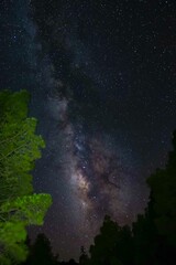 Vertical shot of a bright purple starry night galaxy sky over a park