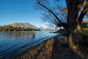 Beautiful view of a calm lakeshore surrounded by trees on a sunny day